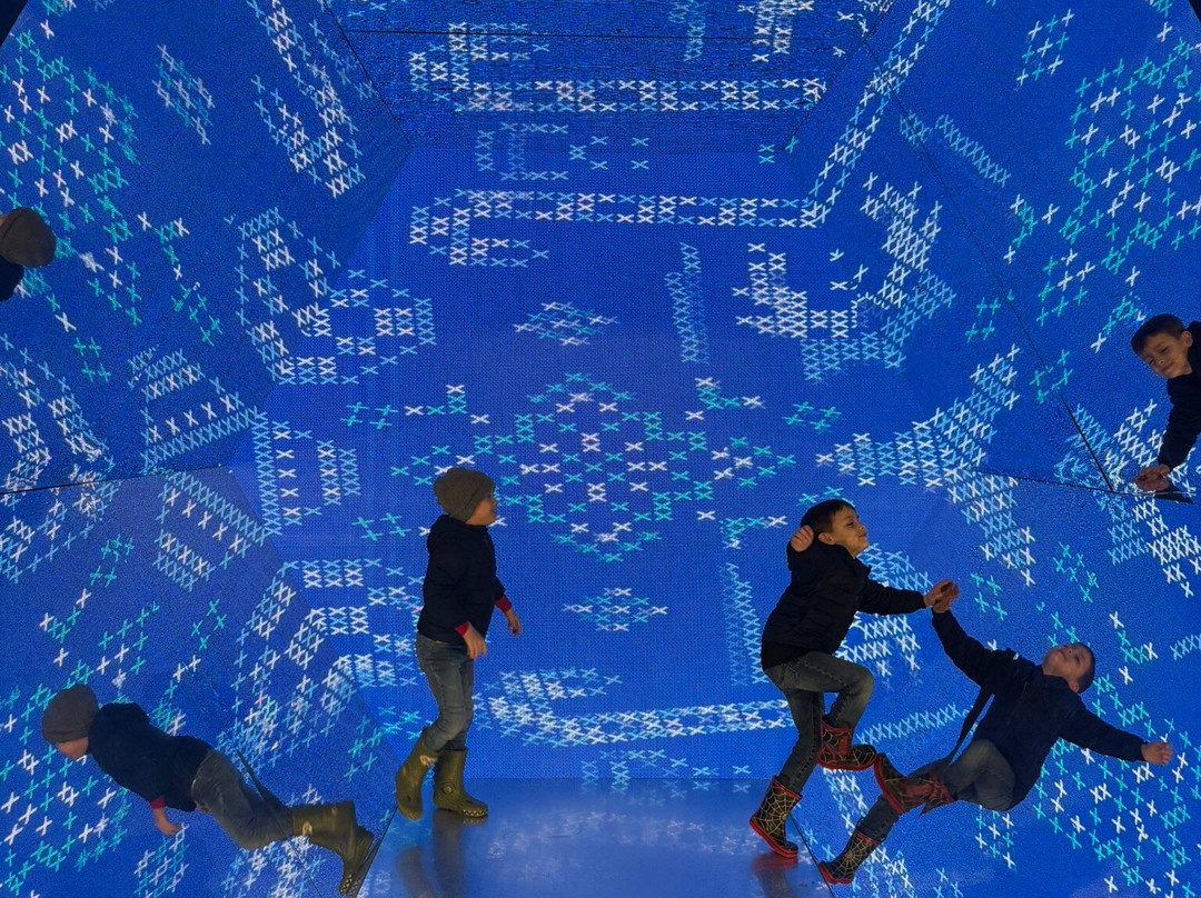 Museum of Illusions-底特律必去景点