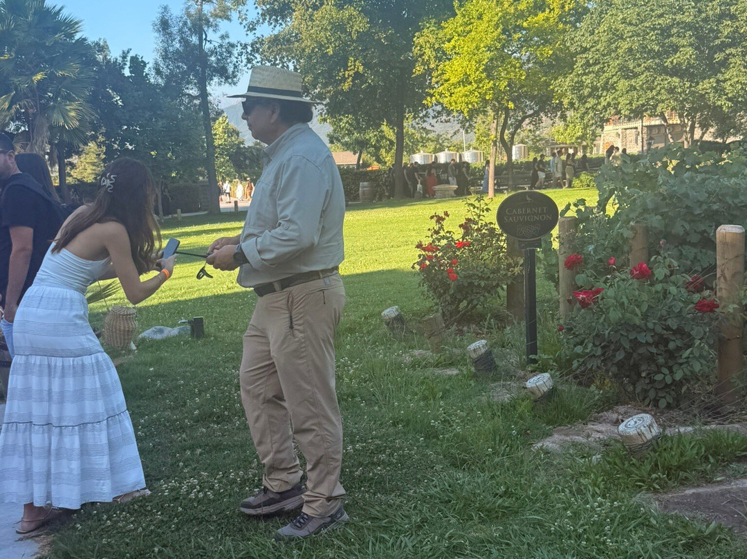 Alyan Family Wines-Pirque必去景点