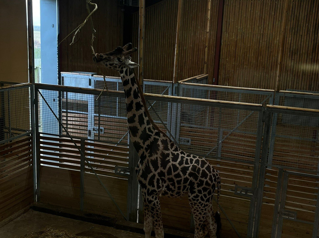 Wingham Wildlife Park-Wingham必去景点