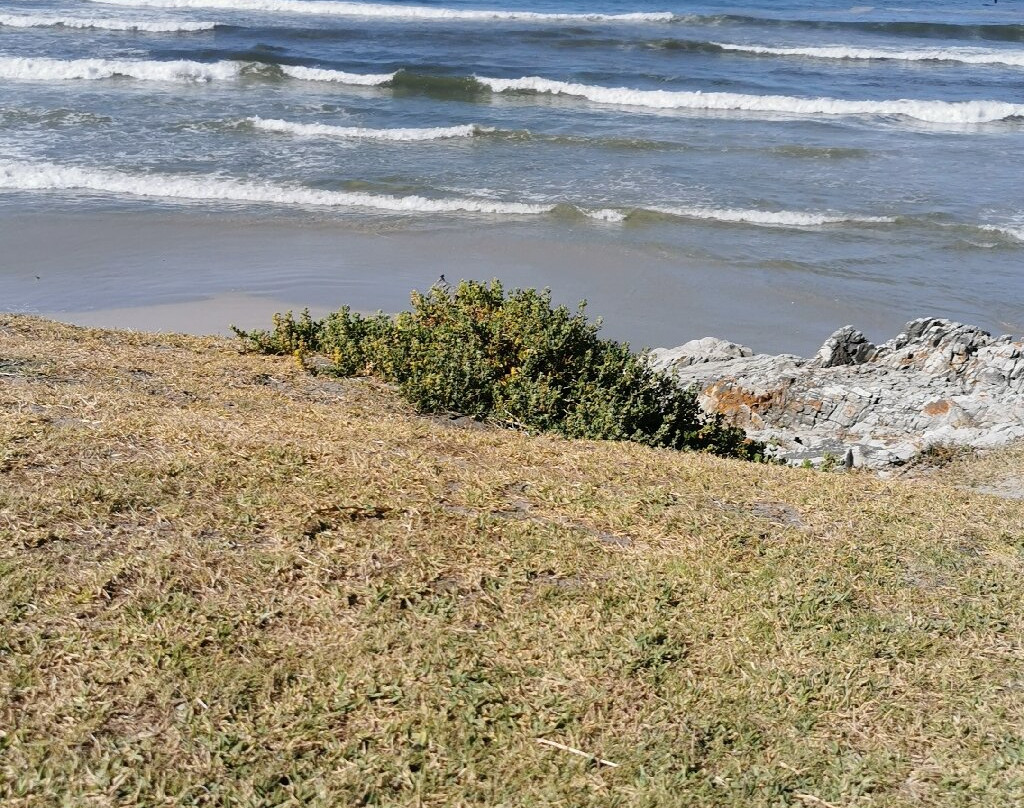 Voelklip Beach-赫曼努斯必去景点