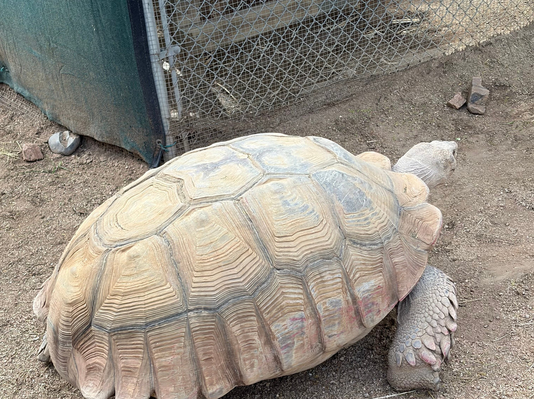 Southwest Wildlife Conservation Center-斯科茨代尔必去景点