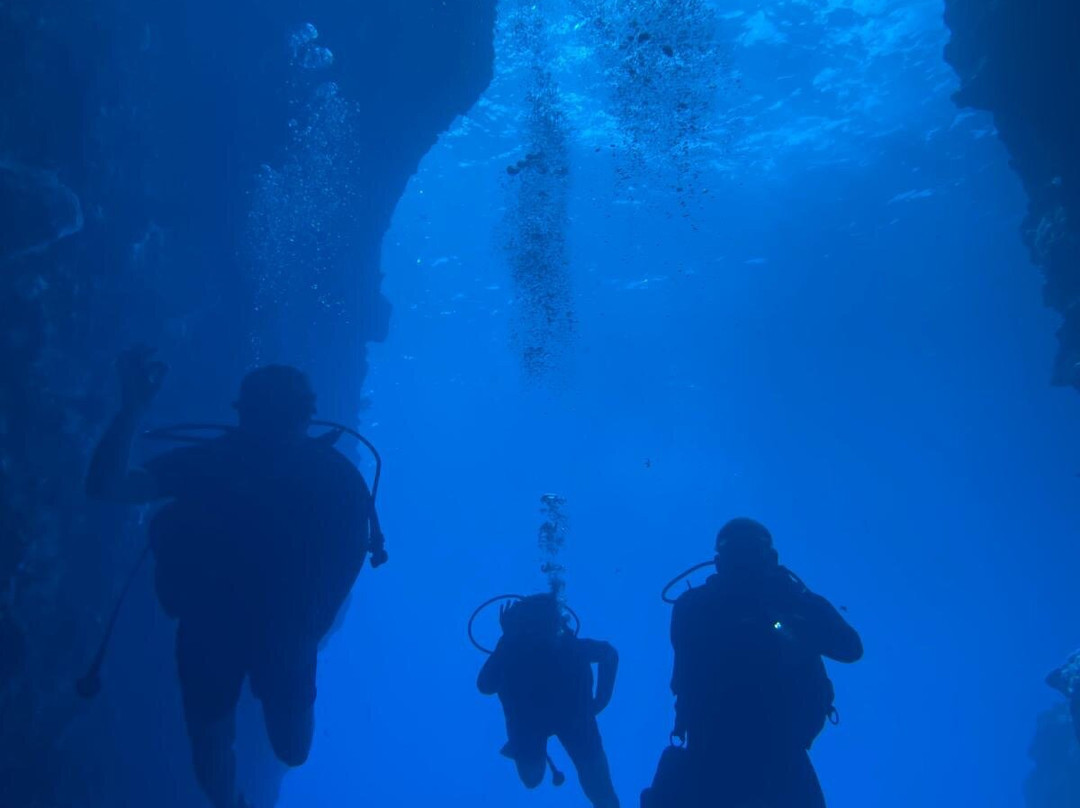 Deep Turtle Plongee-Les Anses d'Arlet必去景点