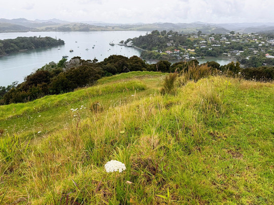Rangikapiti Pa Historic Reserve-Coopers Beach必去景点