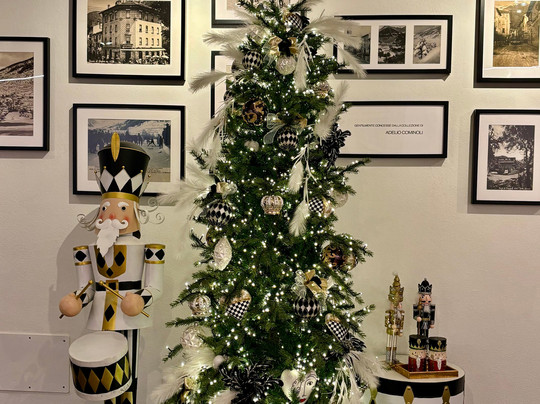 Residence Adamello Resort主图