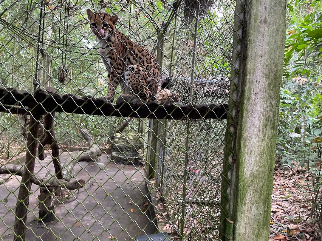 Centro Urku-Tarapoto必去景点