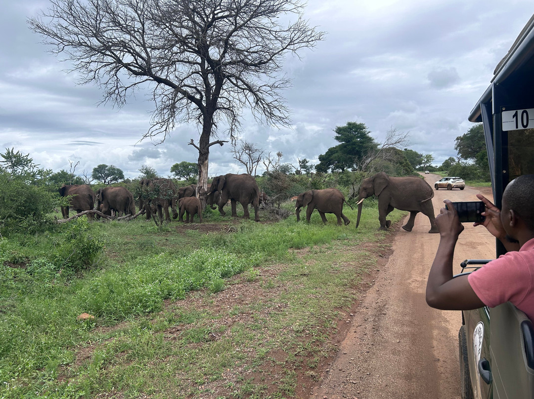 Southern Kruger Safaris-玛洛斯帕克必去景点