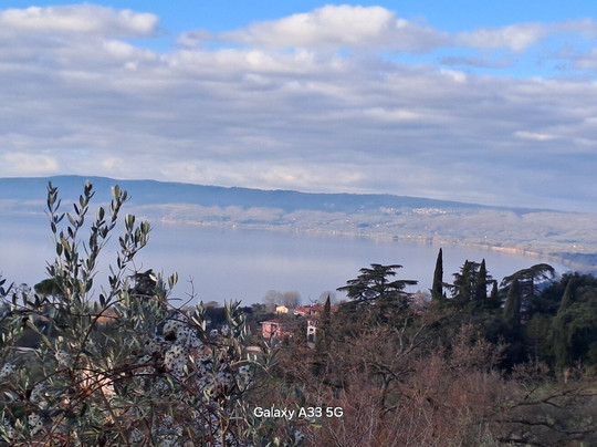 Ludwig Boutique Hotel主图