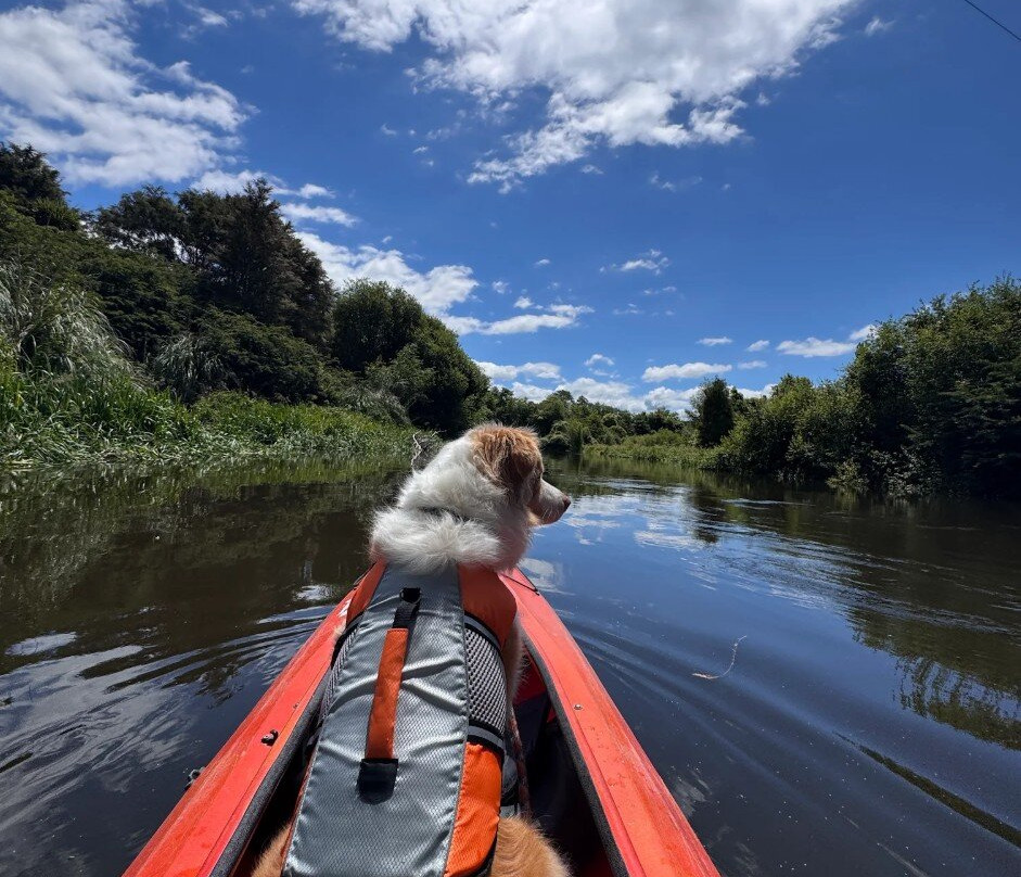 The Boatshed Kayaks-剑桥必去景点