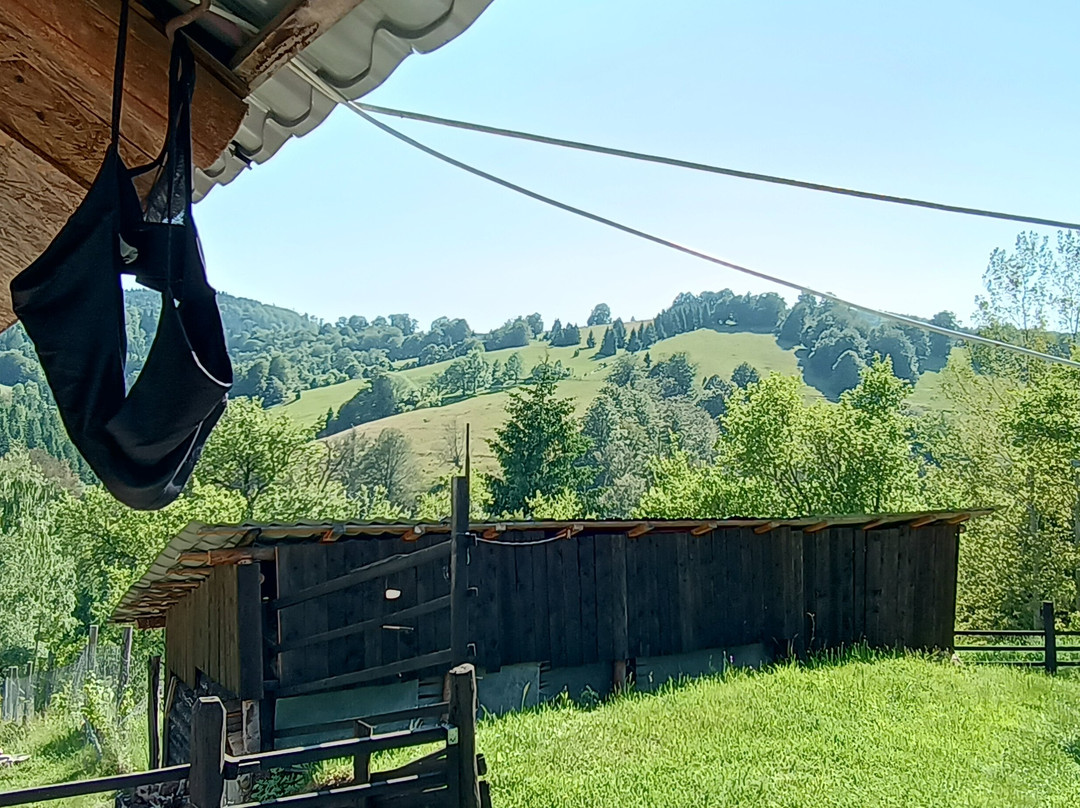 Via Transilvanica-Piatra Fantanele必去景点