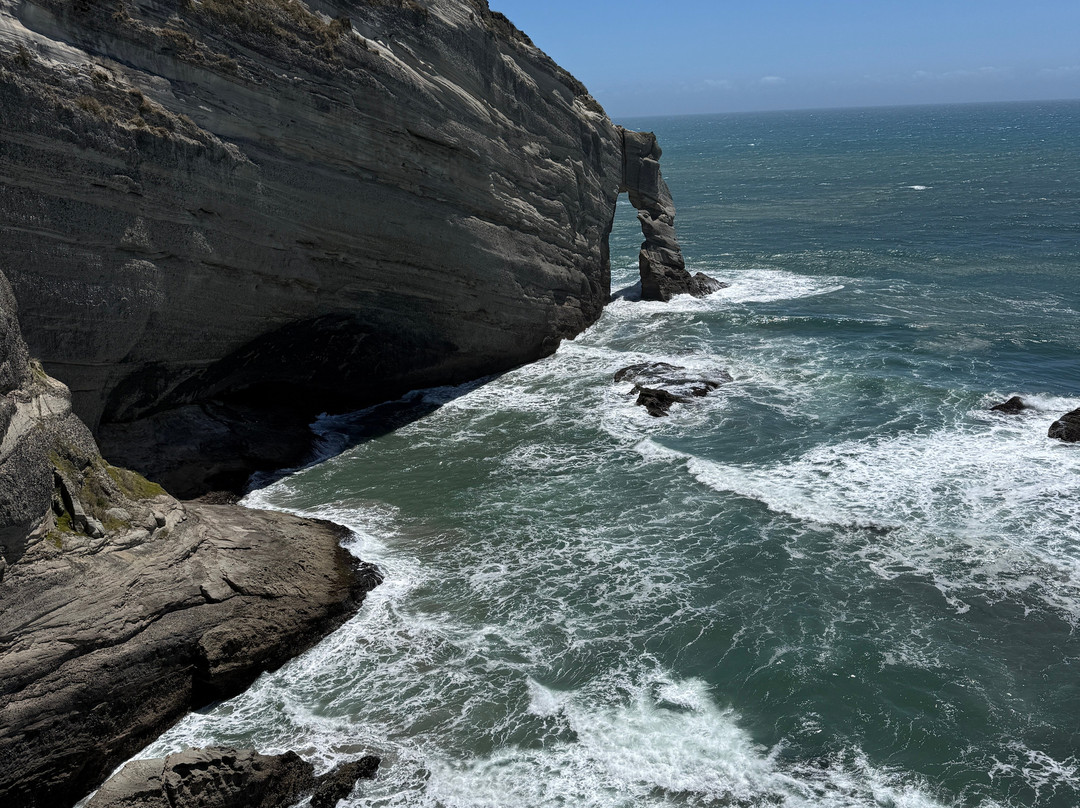 Farewell Spit Eco Tours-Collingwood必去景点