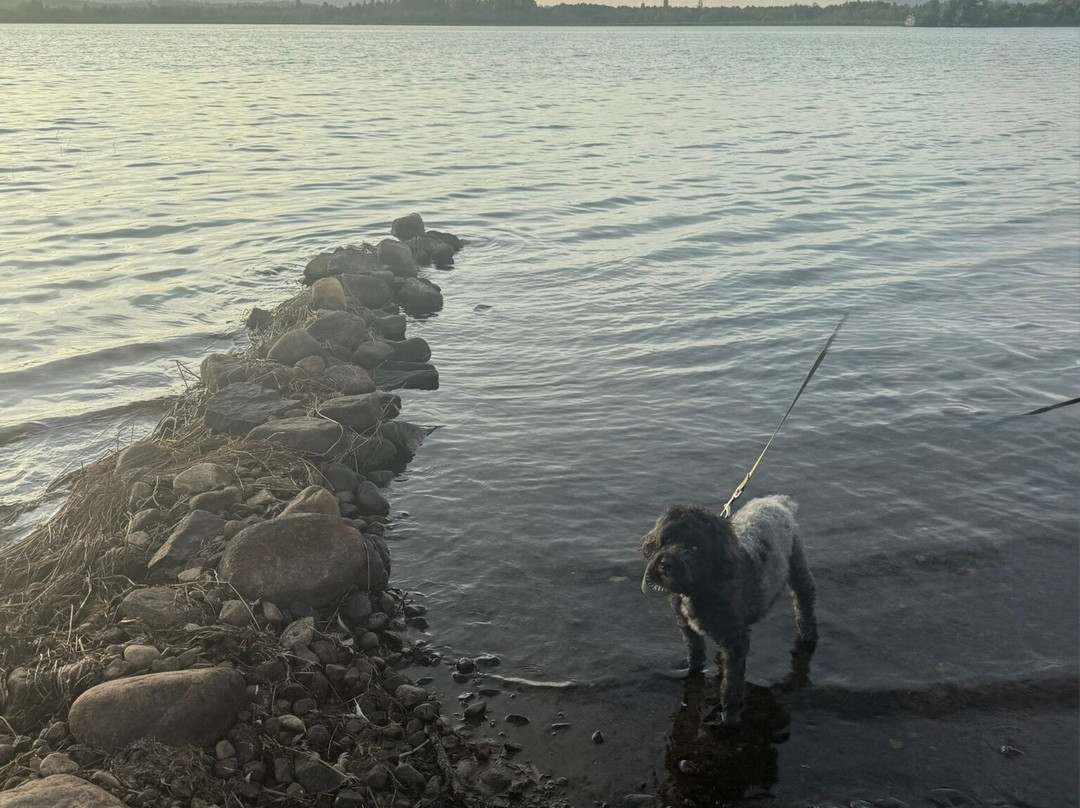 Tupper Lake Municipal Park-Tupper Lake必去景点