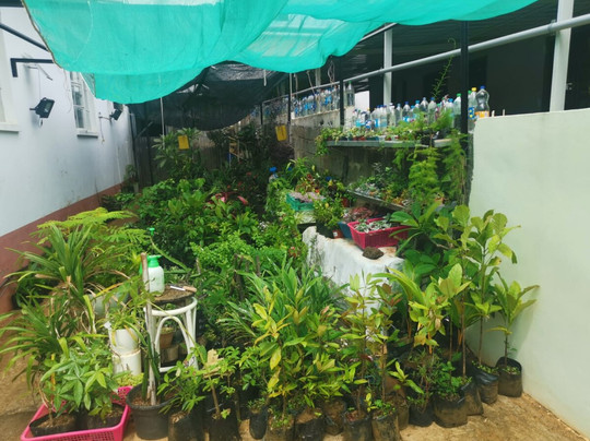 Tizardin-红地必去景点