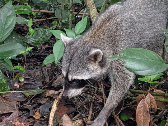 Maratopia-利蒙港必去景点