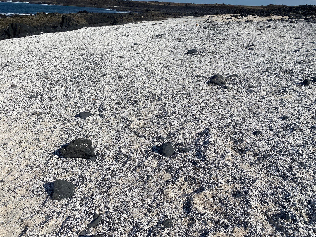 Popcorn Playa-科拉雷侯必去景点