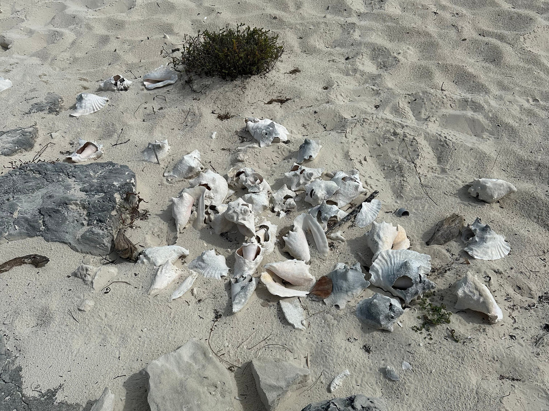 Long Bay Beach-普罗维登西亚莱斯必去景点