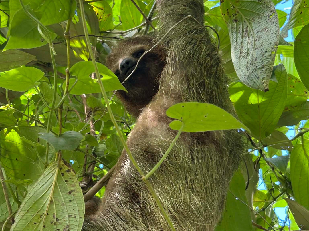 Allan Adventures-La Cruz必去景点