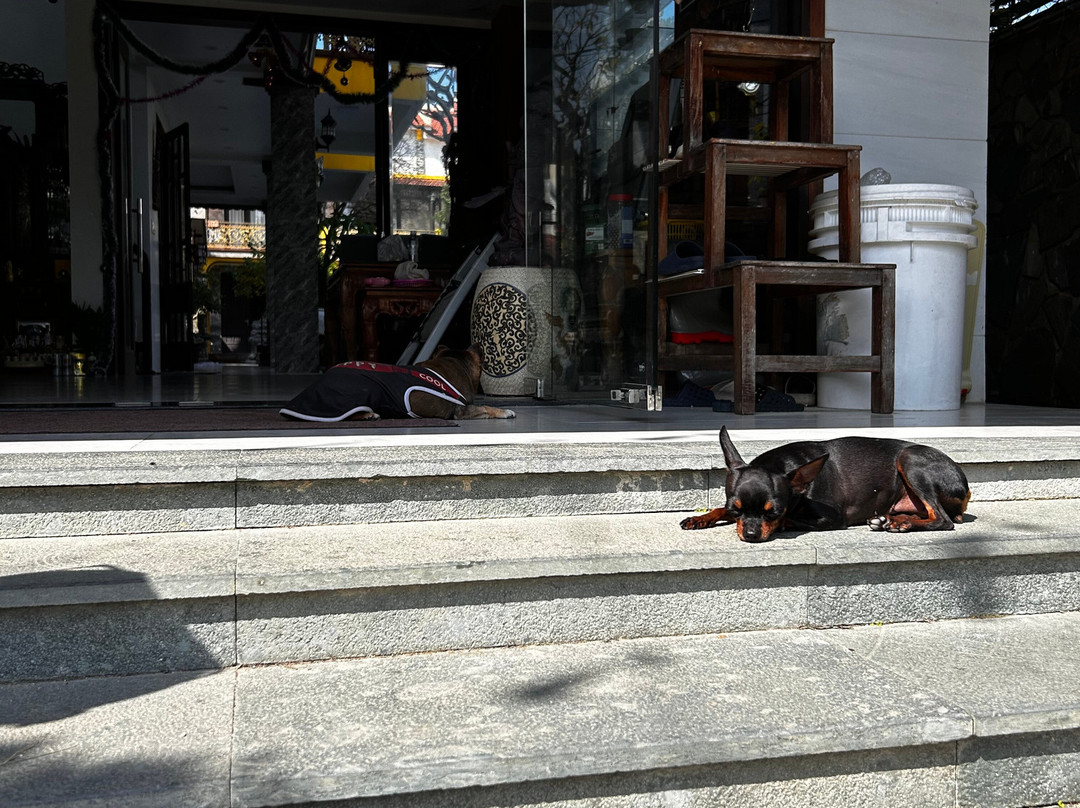 Bonsai Villa Hoi An主图