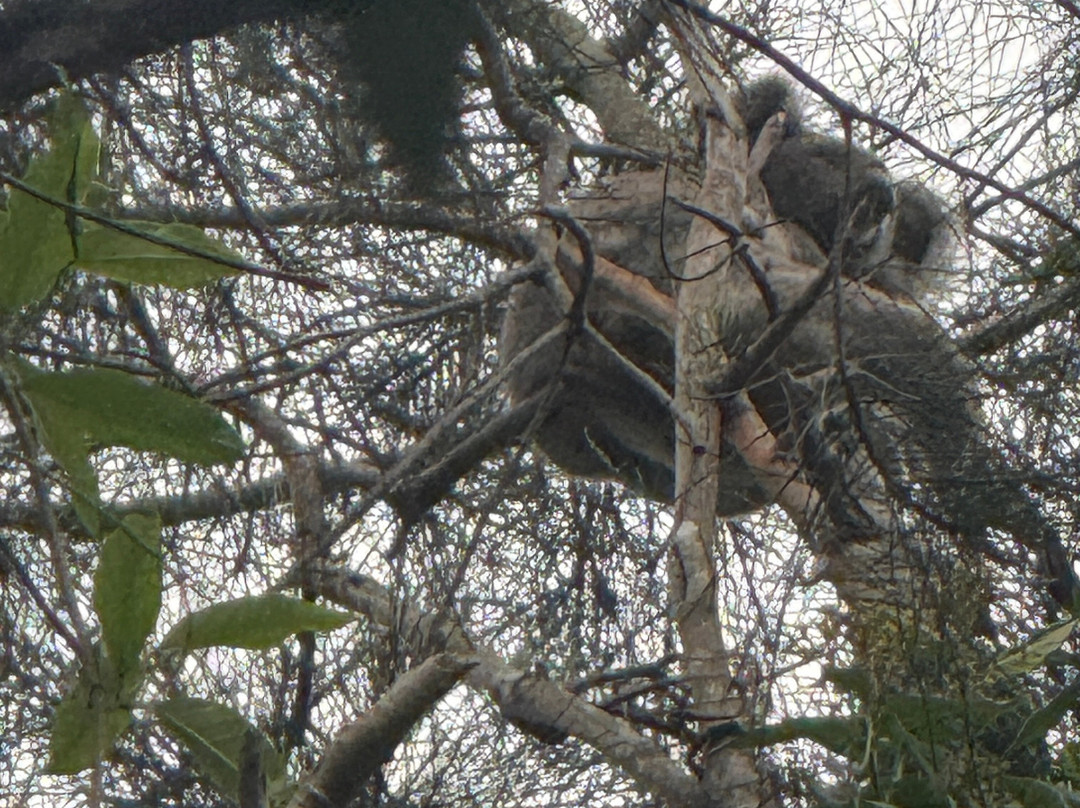 Coombabah Lakes Conservation Area-Coombabah必去景点