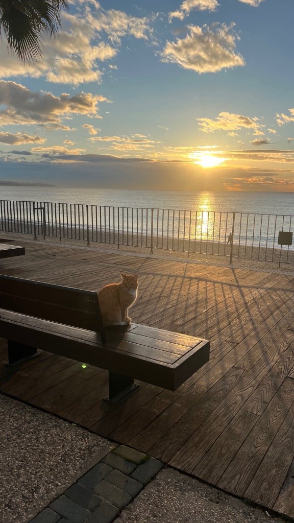 哈林顿公园度假酒店-官方