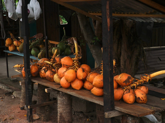 Exclusively Sri Lanka-Raddolugama必去景点