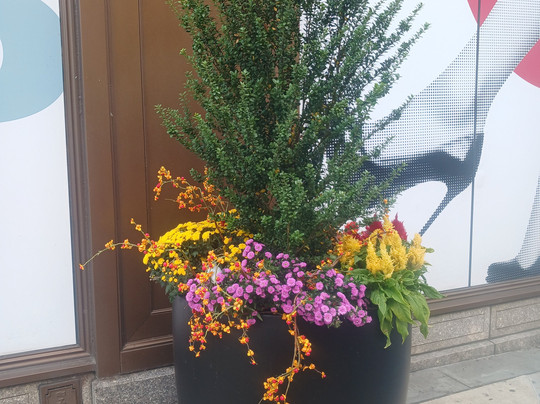 Lit Brothers Building-费城必去景点