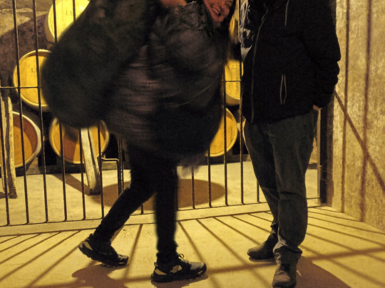 Bodegas Lecea-San Asensio必去景点