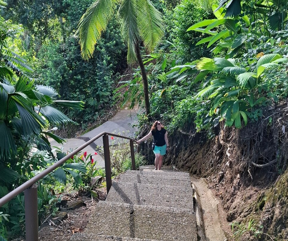 Hotel Jinetes de Osa主图