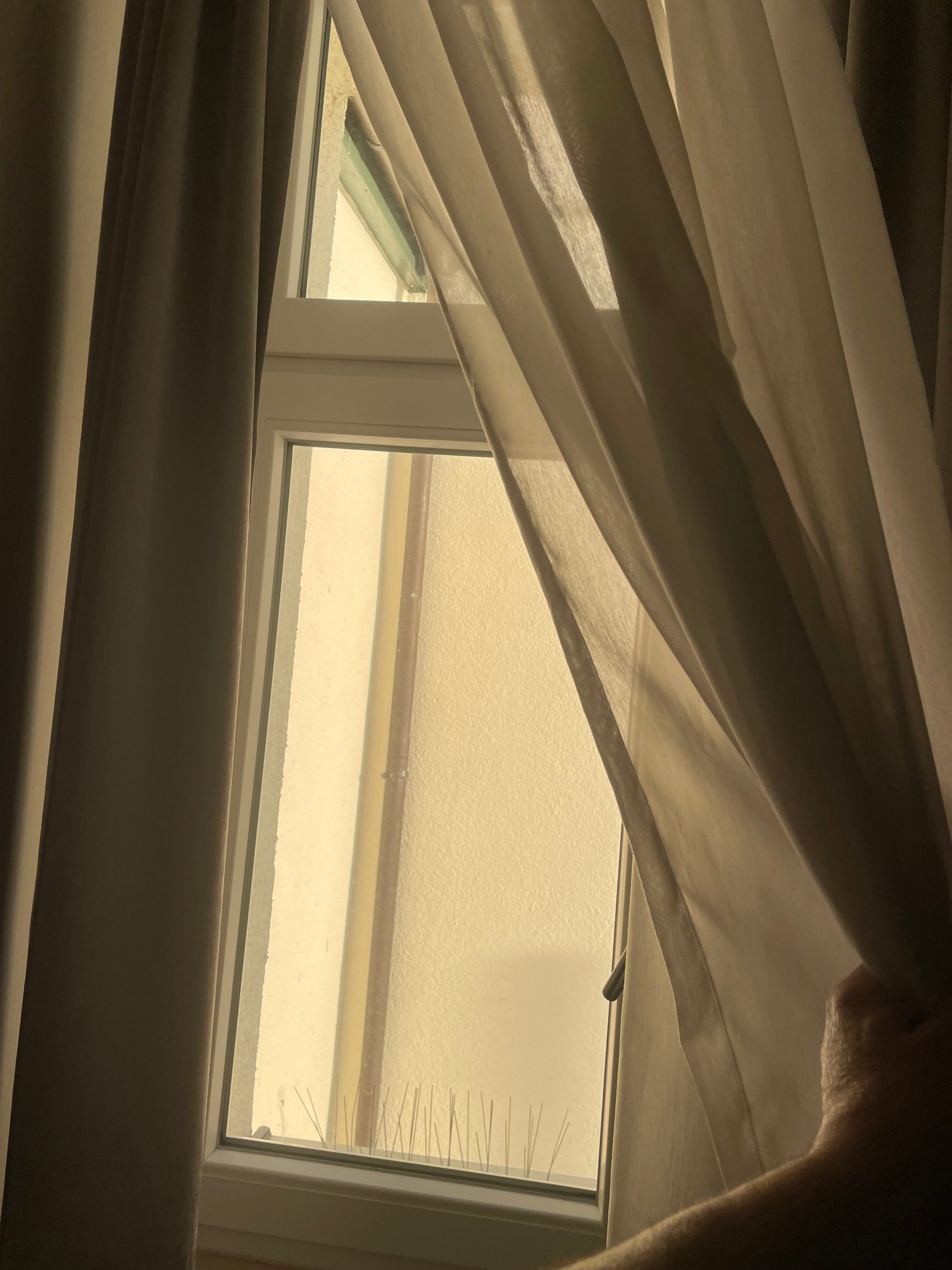 Hotel Schwarzer Baer-官方