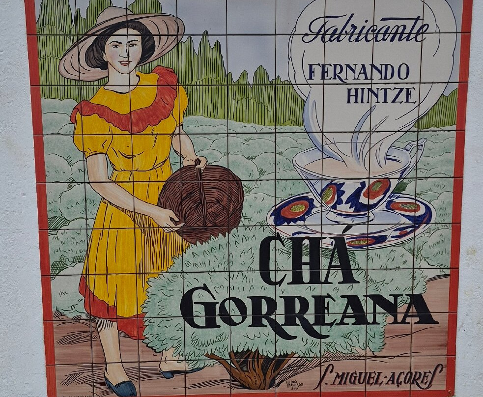 Plantações de Chá Gorreana-Maia必去景点