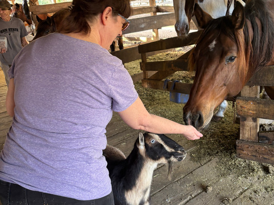 Makin Tracks Trail Rides llc.-Fort Mc Coy必去景点
