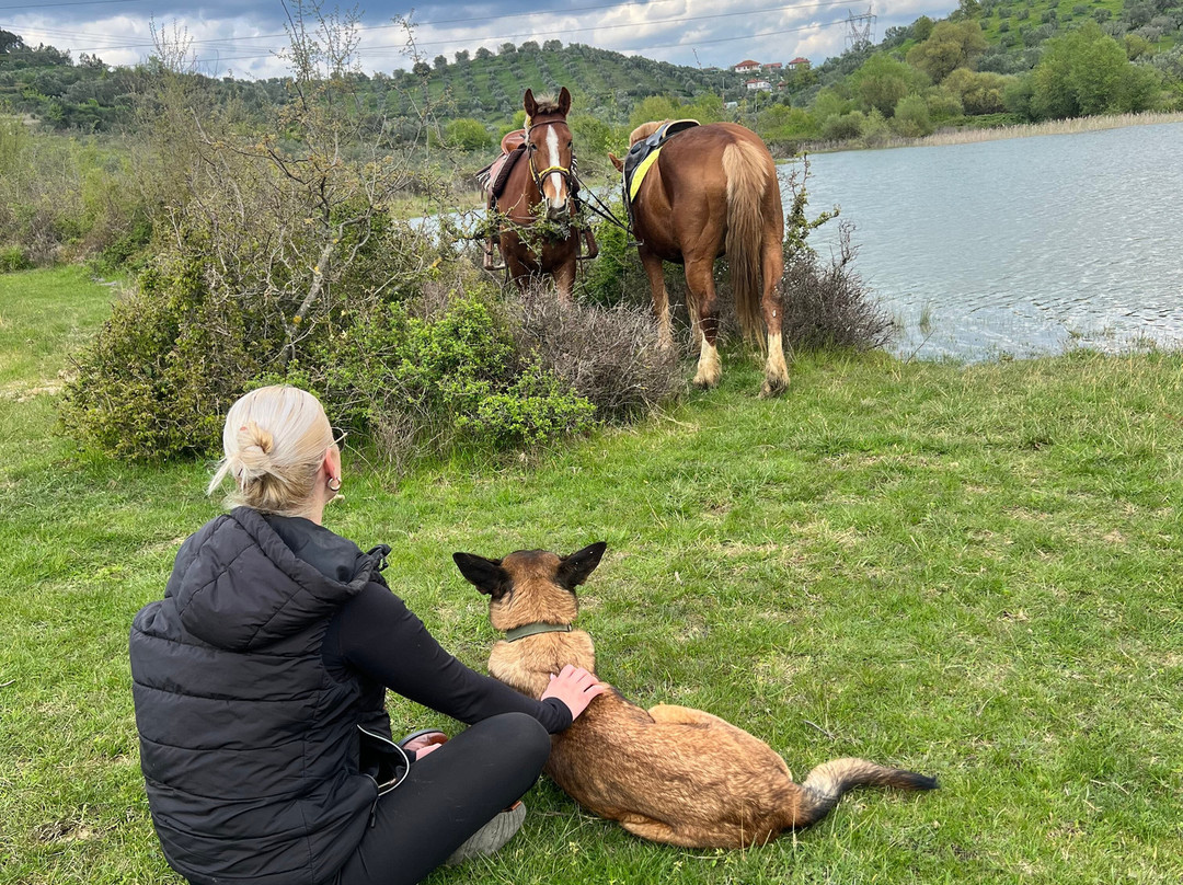Horse Farm Santo-Elbasan必去景点