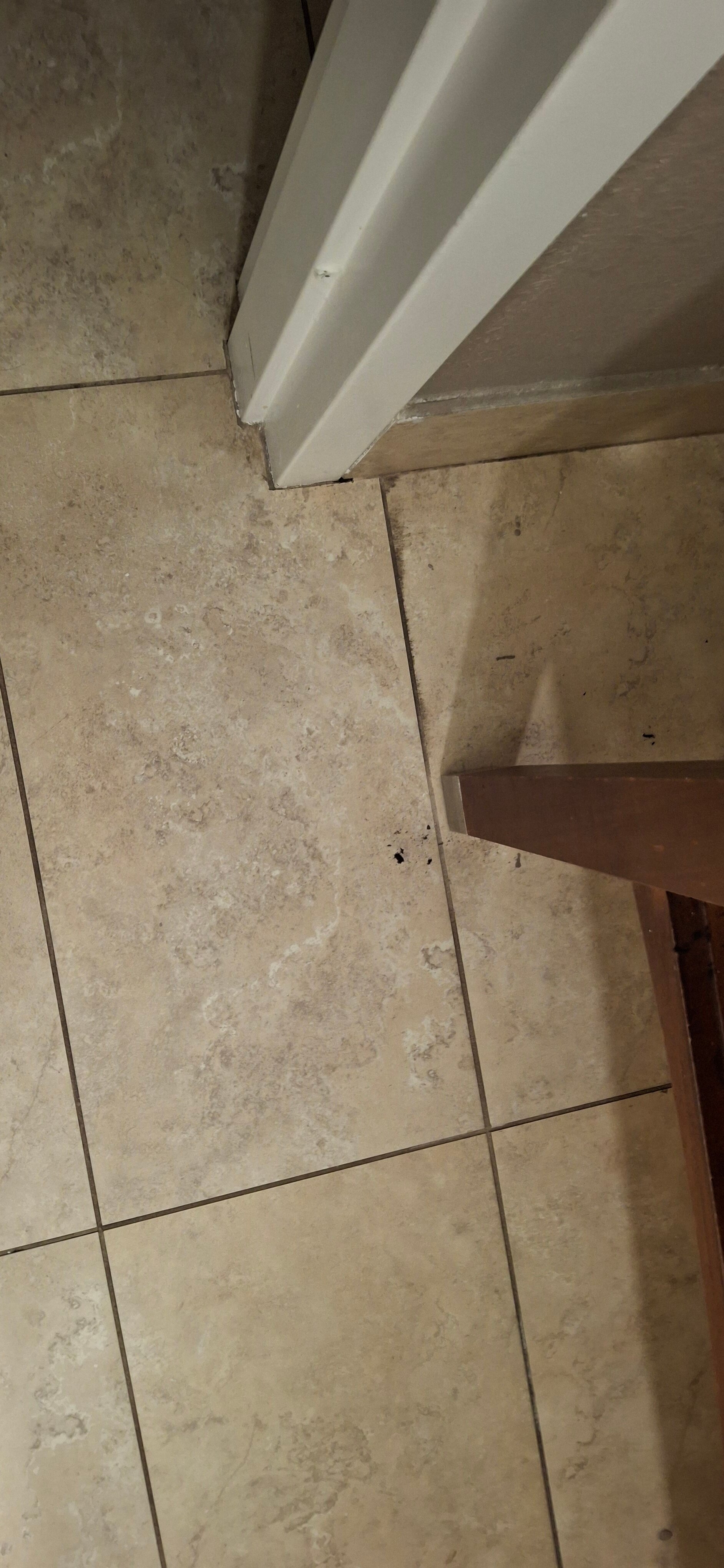 Hampton Inn & Suites Harrisburg/North-浴室