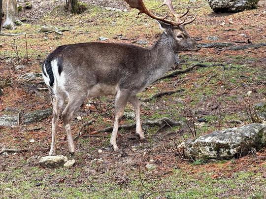 Centro Visita Daini-Scanno必去景点