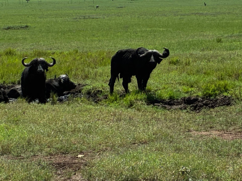 Full Package Adventures-阿鲁沙必去景点