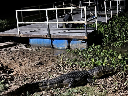 Gasparetour Pantanal Tours-Cuiaba必去景点