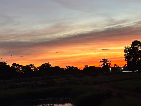 Gasparetour Pantanal Tours-Cuiaba必去景点