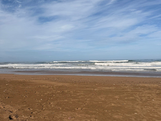 Greenwave Ecolodge Mirleft主图