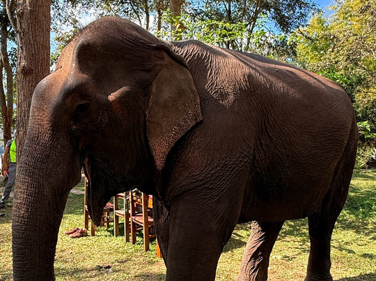 Manifa Travel-琅勃拉邦必去景点