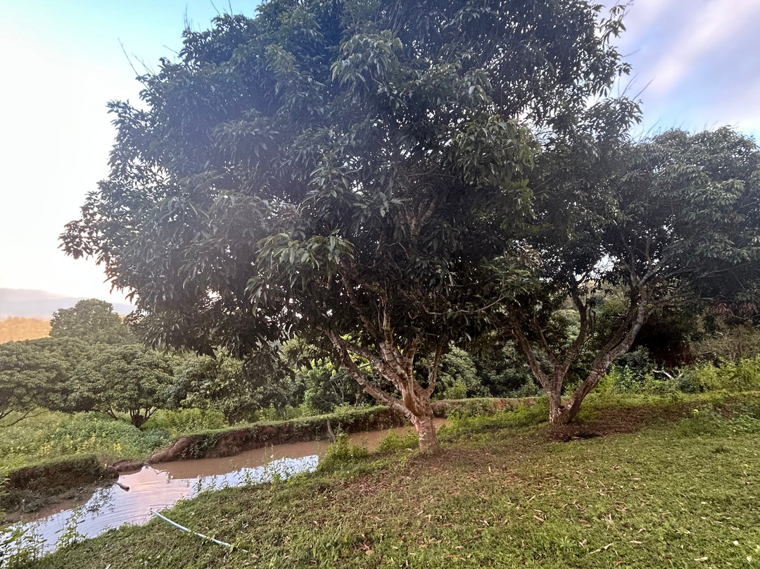 Chiang Mai Eco Trekking-清迈必去景点