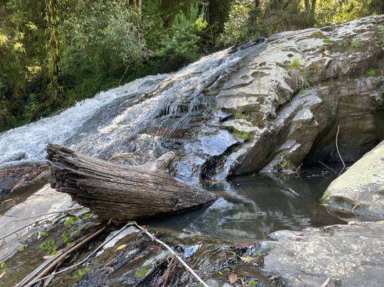 Tarra Falls-Tarra Valley必去景点