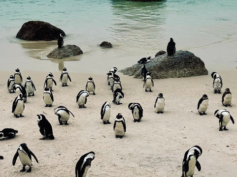 FS Tours - Day Tours-Kenilworth必去景点