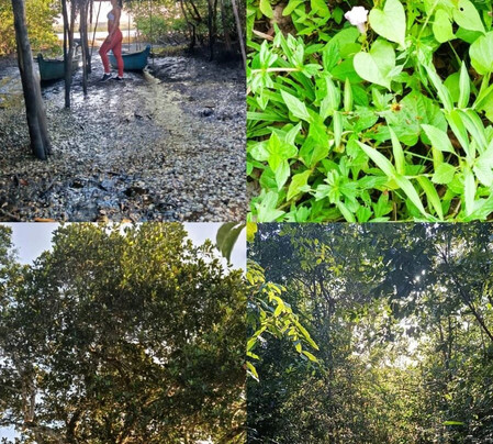 Aventura Eco Brasil-Barra de Sao Miguel必去景点