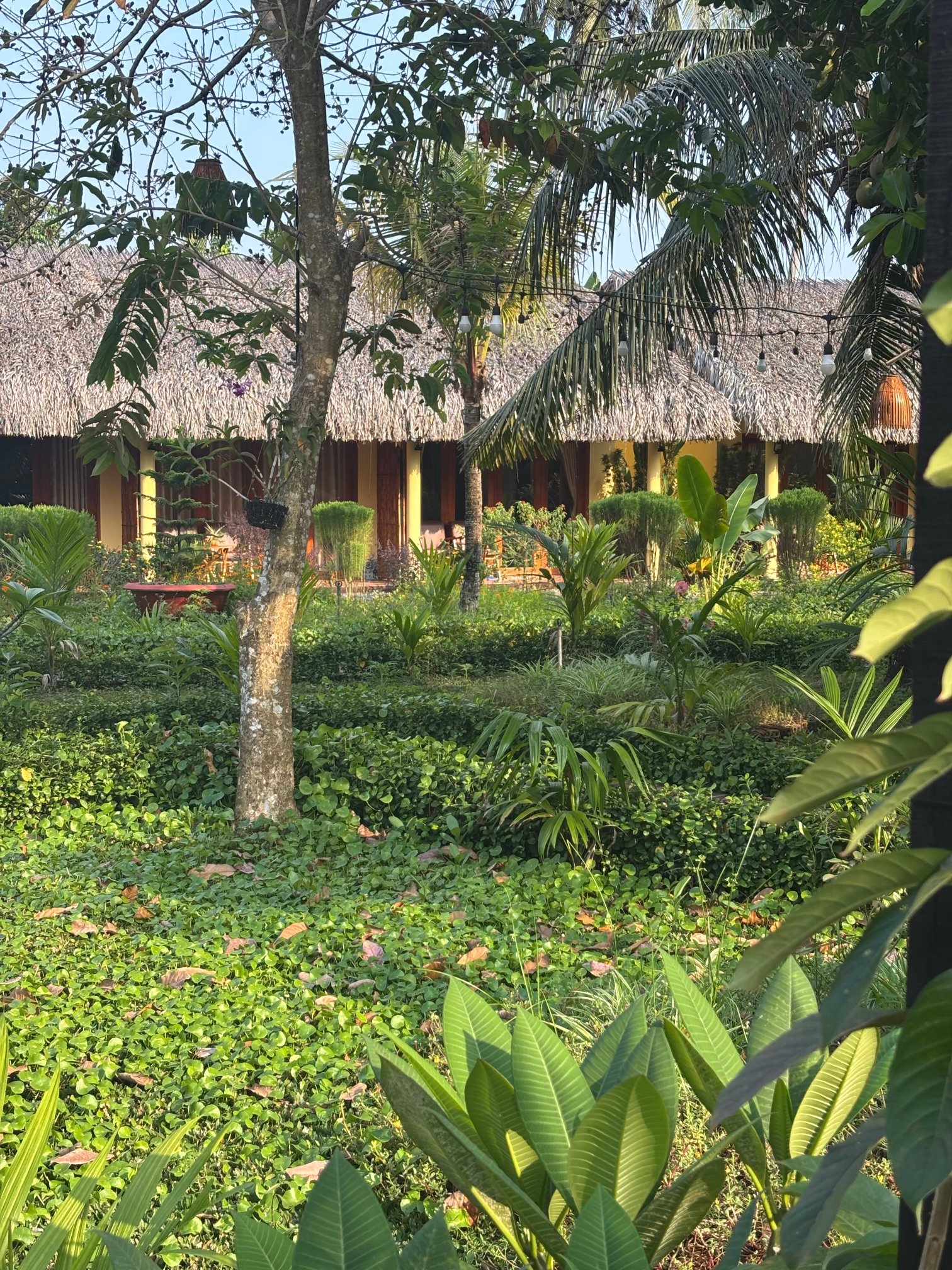 Mango Home Riverside-官方