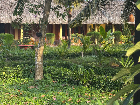 Mango Home Riverside主图