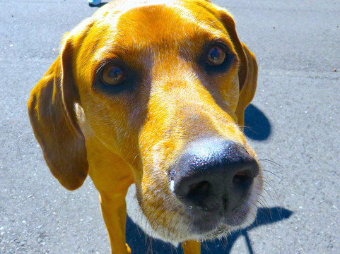 Rotary Park Environmental Center-开普科勒尔必去景点