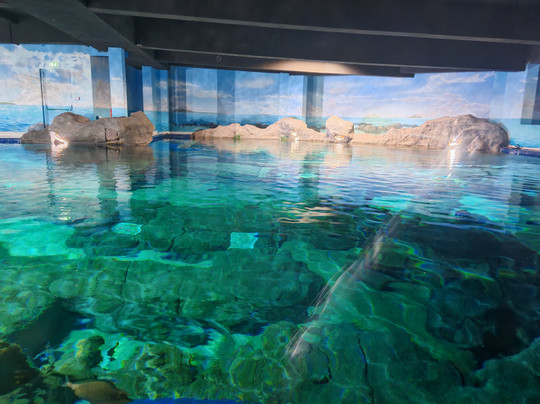 Odysseo Oceanarium Mauritius-路易士港必去景点