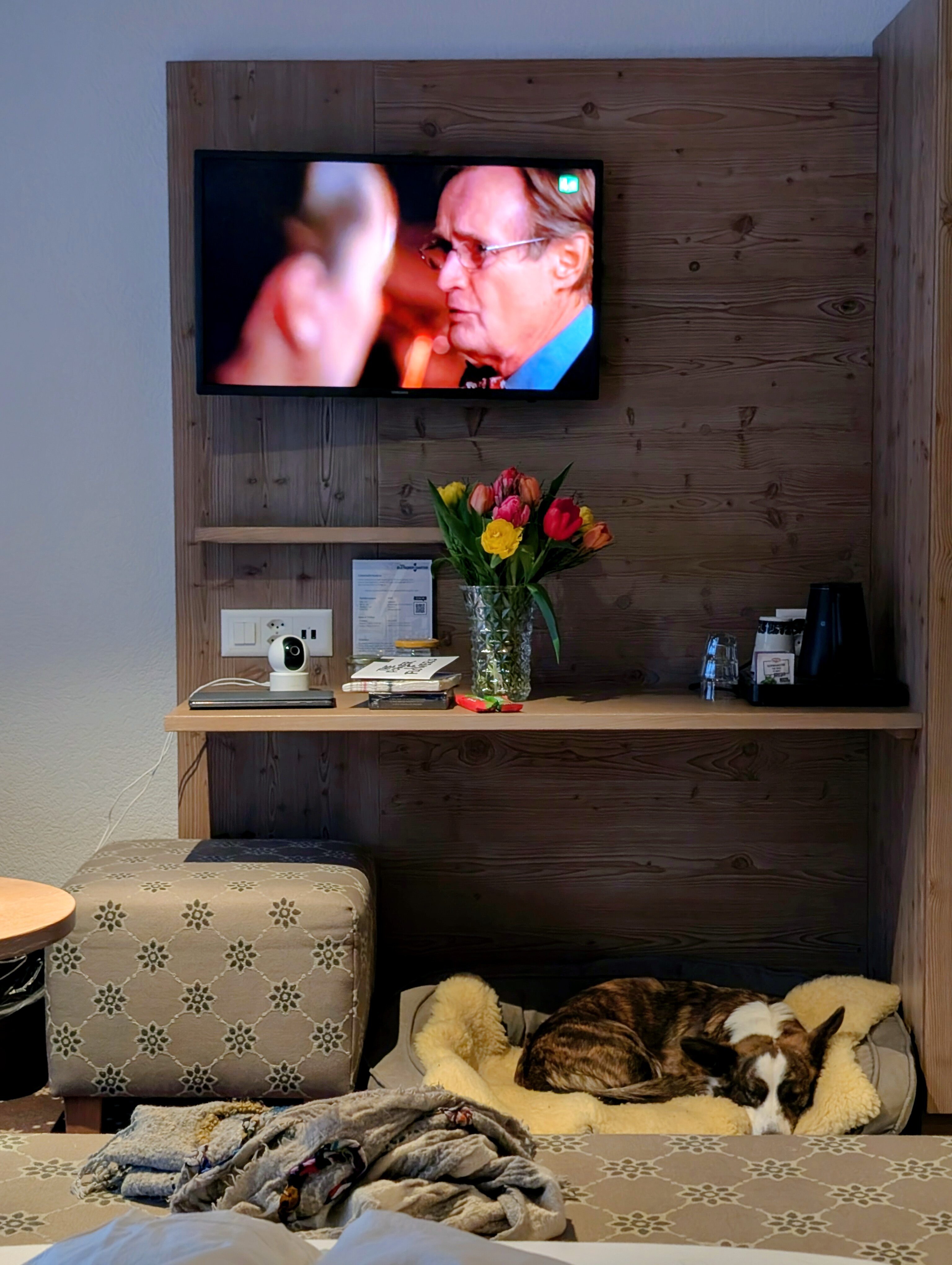 格兰彻卡顿酒店-官方