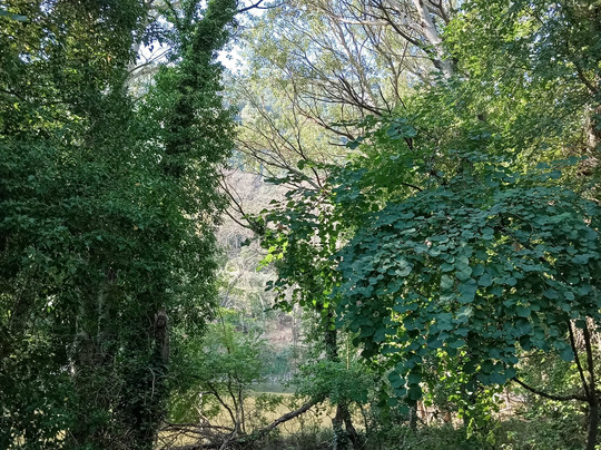 Vale of Tempe-Tempi必去景点