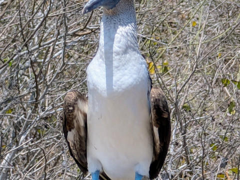 Aventuras La Plata-Puerto Lopez必去景点