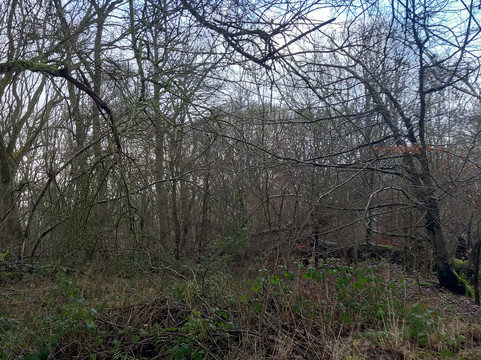 Bridgewater Monument